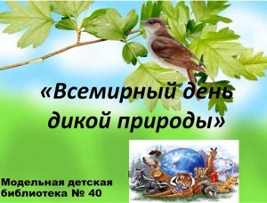 Read more about the article Всемирный день дикой природы